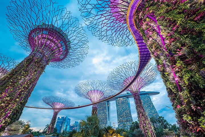 Singapore: Discover the City of the Future Today – 9 Compelling Reasons to Visit